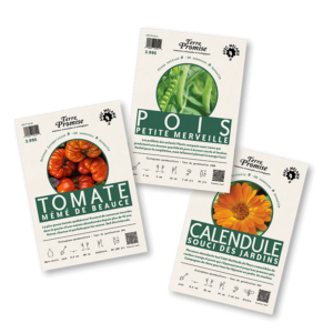 présentoir-semences