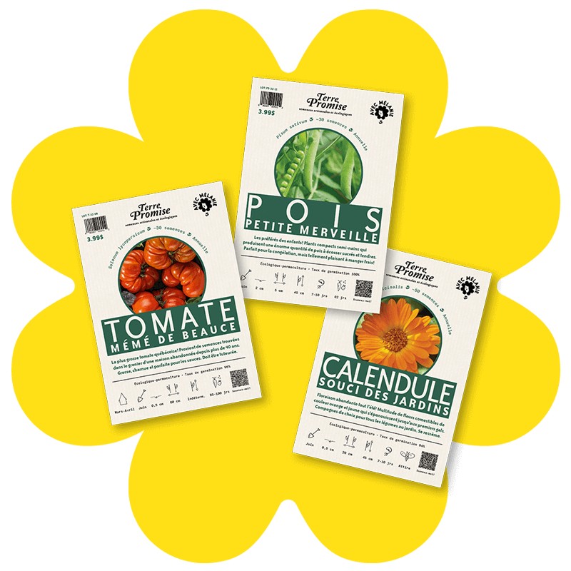 semences-coup-de-coeur